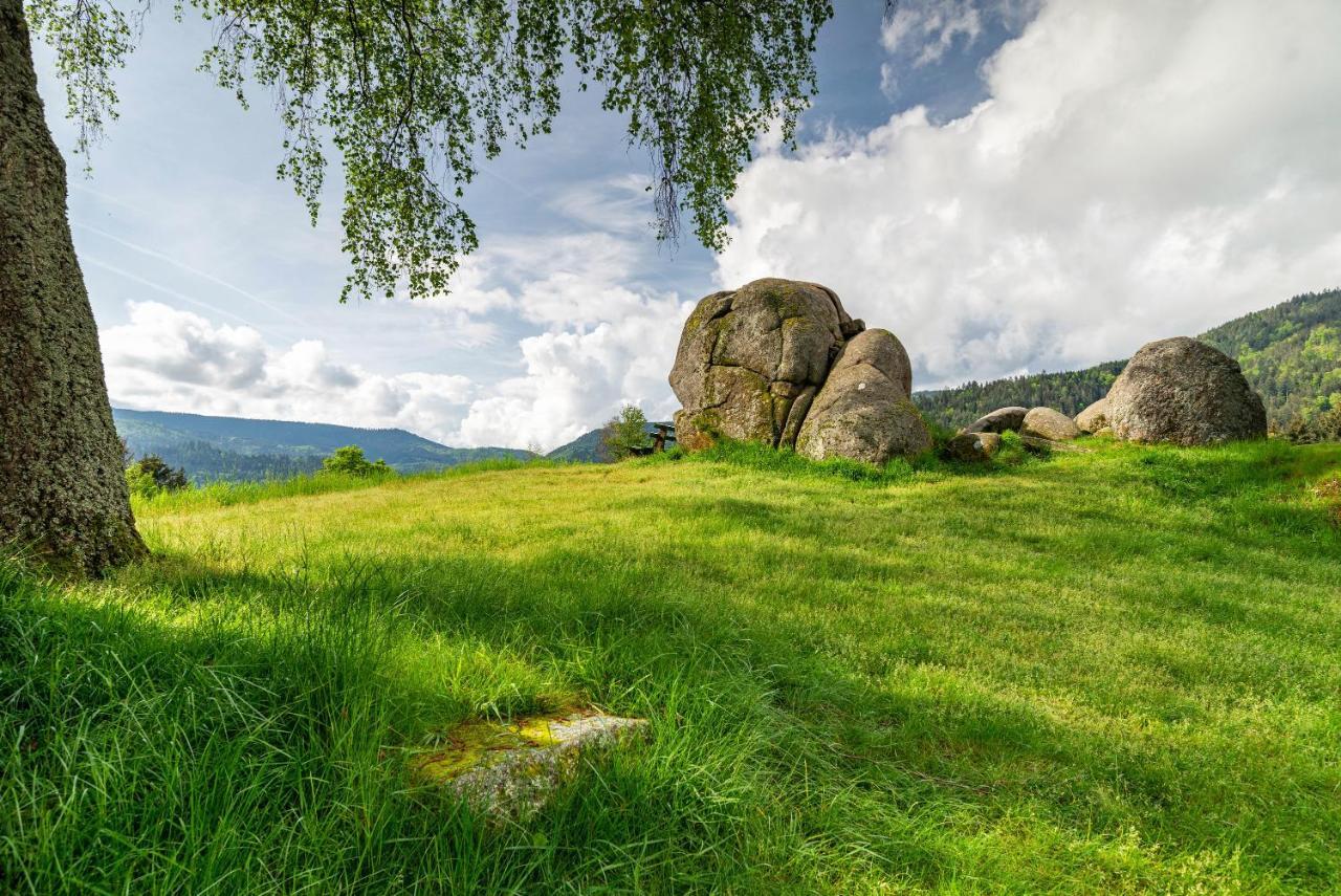 Bergblick Apartman Forbach Kültér fotó